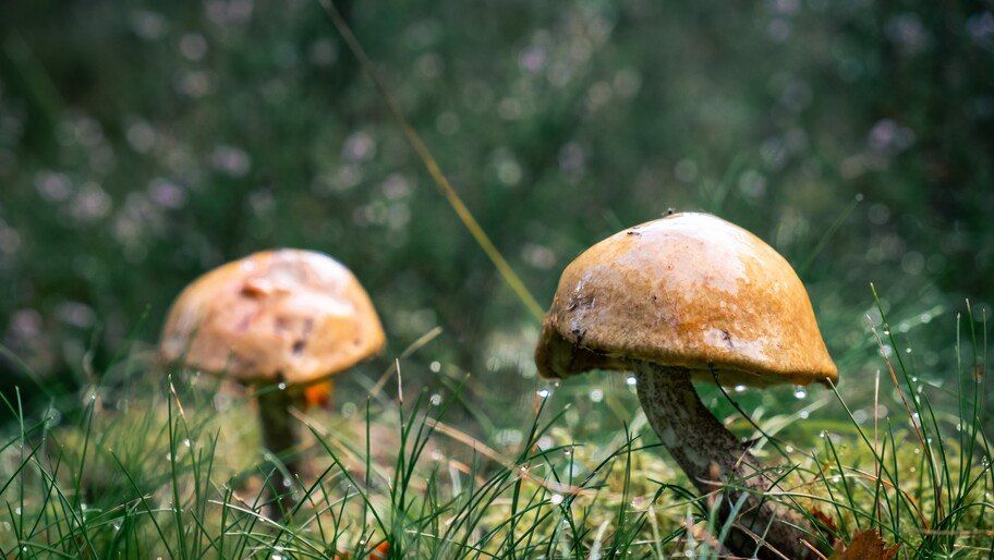 ������� ��� �����������? ������� ������� ���� � ���, ��� ��������� �������� �����