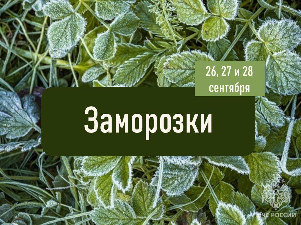 � ���������� ������� 26�28 �������� ��������� ��������� �� -2�, �������� ��� �������