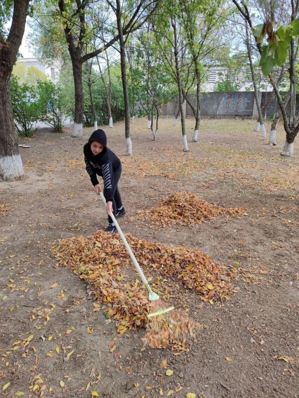Субботник в ГБОУ ХО «Нижнесерогозская школа»: символ единства и патриотизма