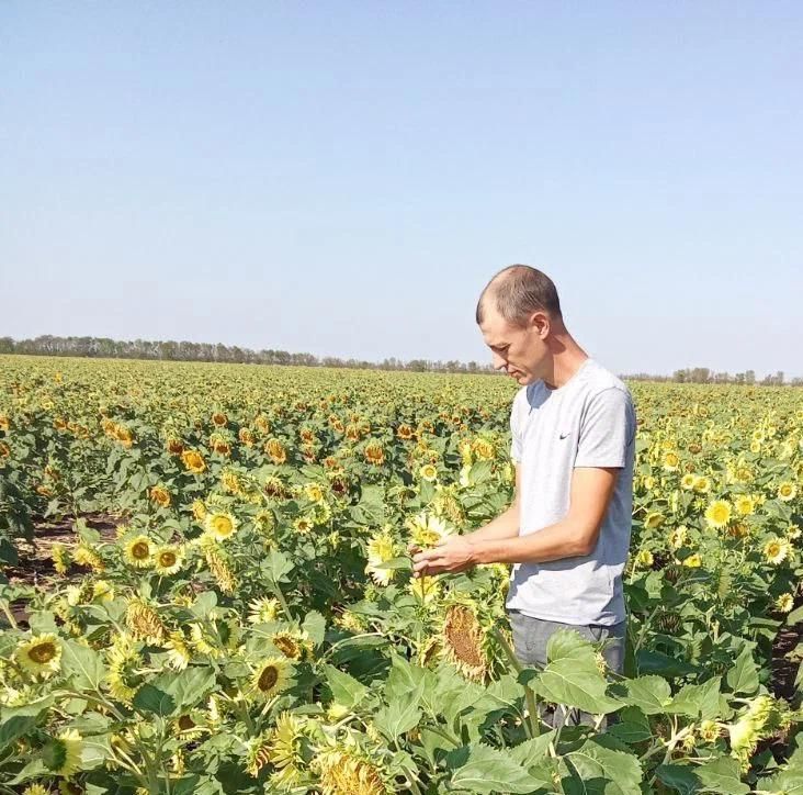 ��������������� ������ �������������� ���������� � 28 ���������� ���������� �������