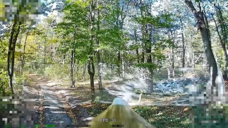 ������ FPV-������ �� ����������� �� ���������� �������� � ������� ��������-�������� ��� � �2 ����������� ��������������� �� �����