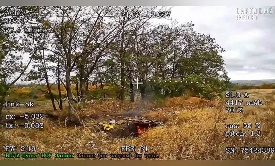 ��������� fpv-������ �� �� ���������� ������ ���������� � ���� ���������� ���