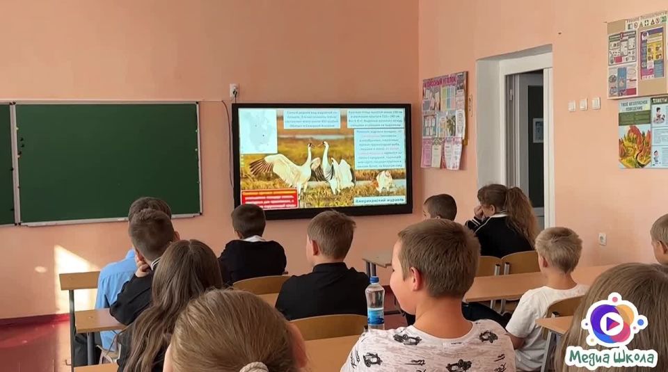 ������ ������������� ����� ����������� � ������������ ������������� �����������