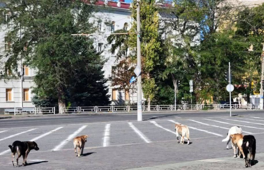 � ������� ����� ����� ����� ��������� �����