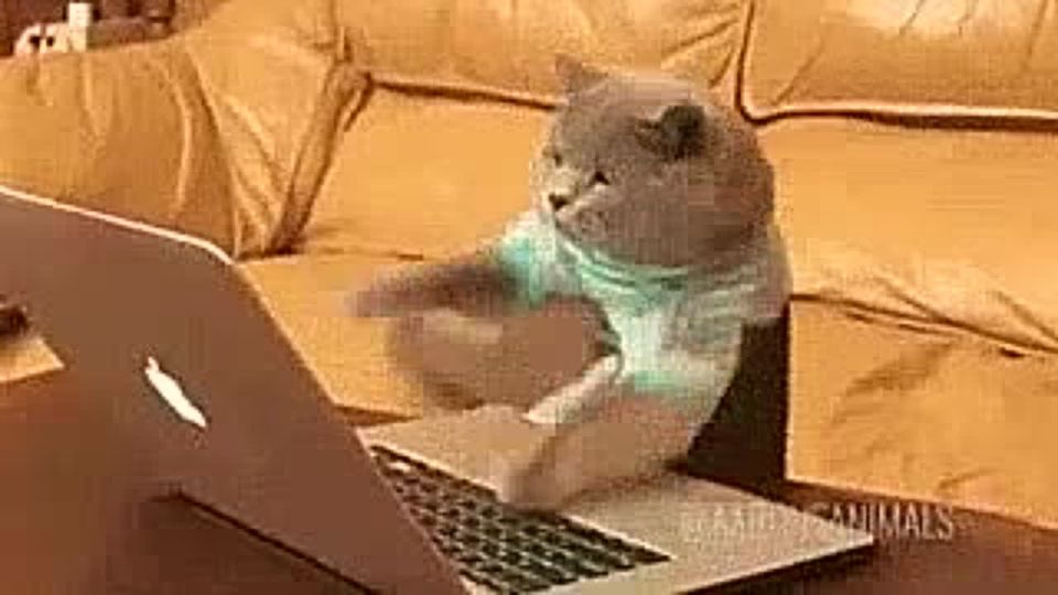 ��������� �������� ���������� � �������� �������, ������� ������ ������ ����������