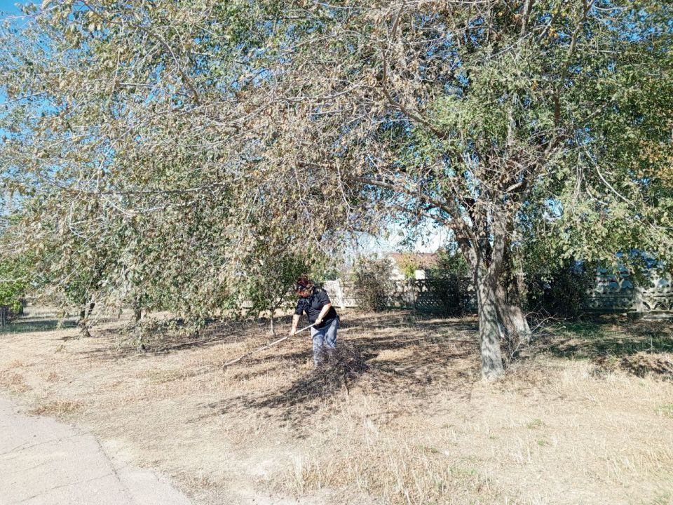 Субботник в «Золотом ключике»: забота о чистоте и традициях