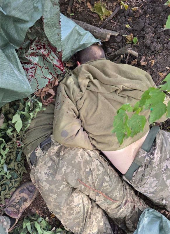 ������� ���������� ��������