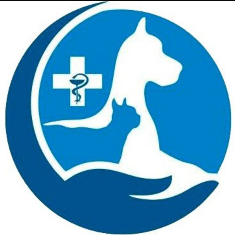 ������������ ����� ��� ���������� �������� � ��������� �������� � ��� ��������