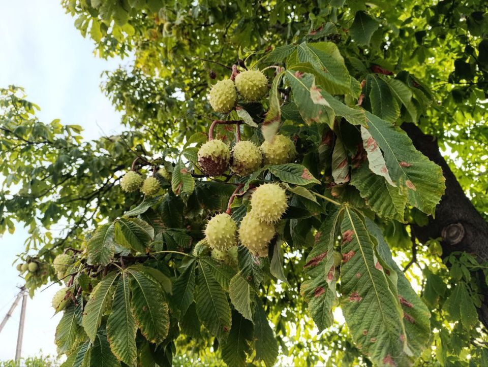 ������ ����, ������ ���������� �������������� ������!