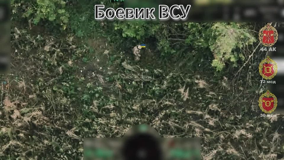 ��������� ����. ������� �������