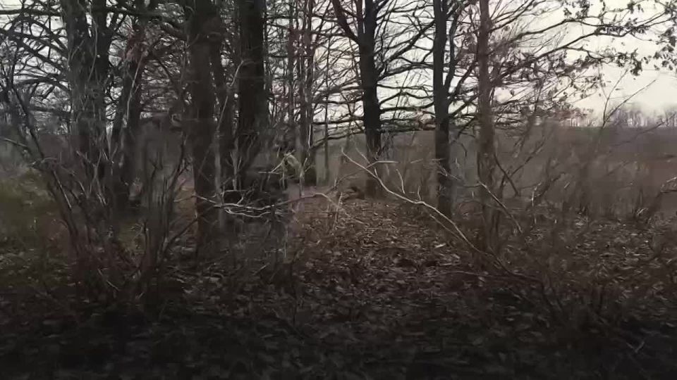 ���� ��������� - �� ������ �����, ��� �������, ������� ����� � ������!