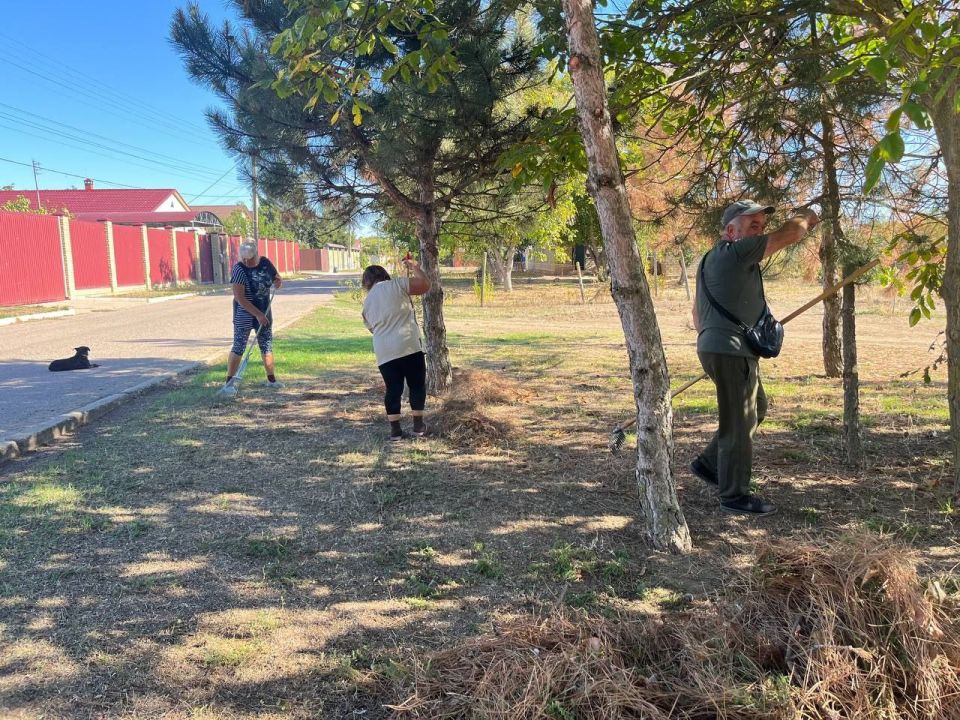 Новопавловка готовится к празднованию Дня села