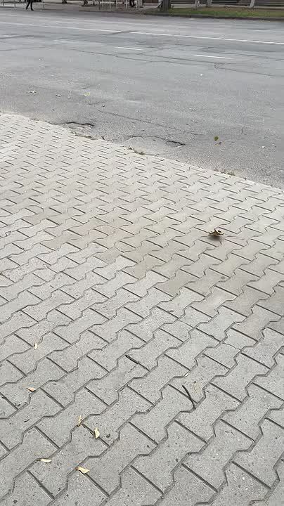 � ������� �� ���������� ��� �������� ����� � ������� ���������� �����������