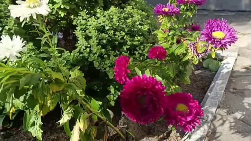 ���� ��������: ���� ����������� � ���������: ������������ � �������