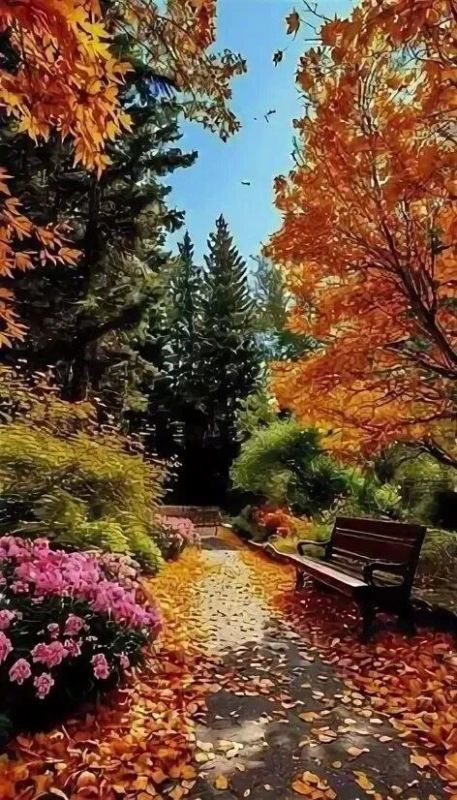 � � ������ ����� ��������� , ��� ��� ������ , ����� ���� ������ . ������ ������ , � ��� ����� �������� , ��� , ����������� ��� �����