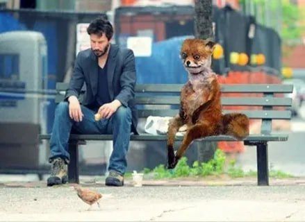 ��������? ���, ��������. ������ ����������, ����� ������� ����� ������� ���������