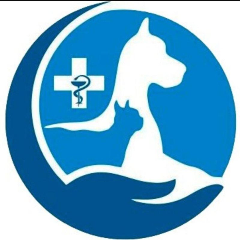 ������������ ����� ��� ���������� �������� � ��������� �������� � ���