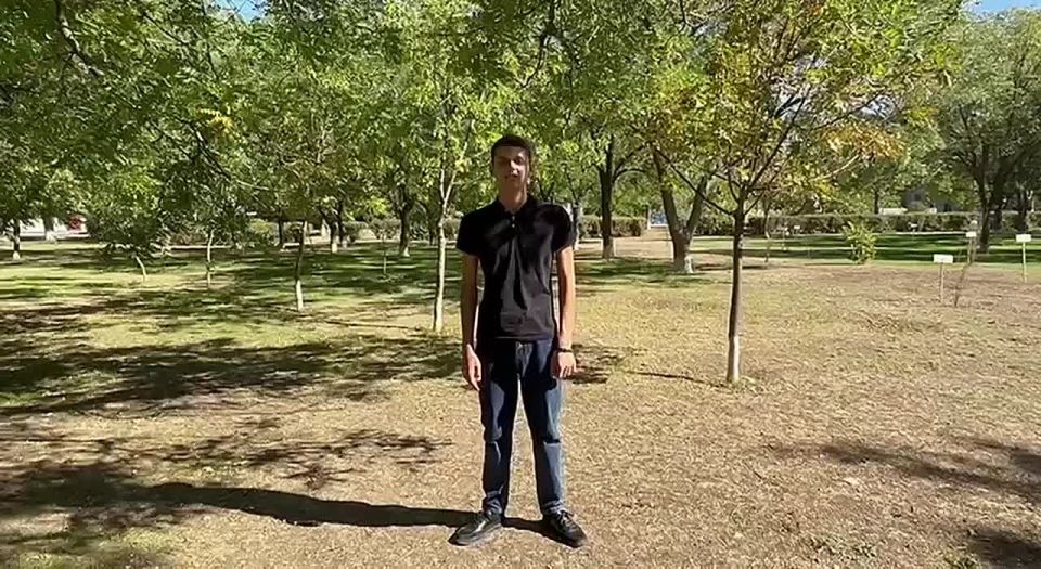 �����-��������� ������ � ���������� ������� ���������� ��������������