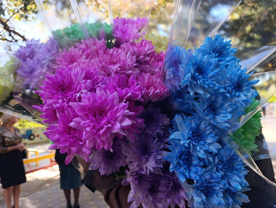 ��������� �����������, ��������� ���������� ���������� � �������� ��������������� �����!