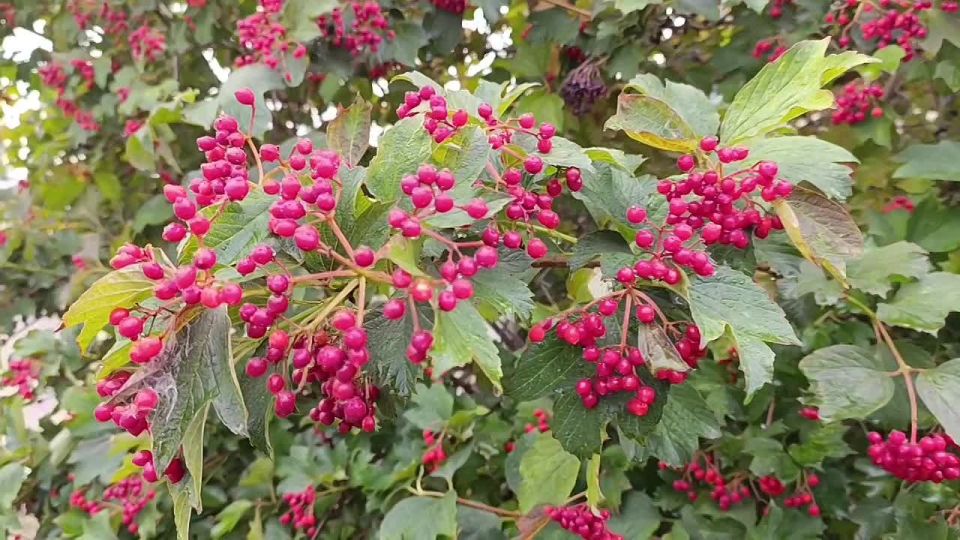 ������ ����, ������ ���������� ������!