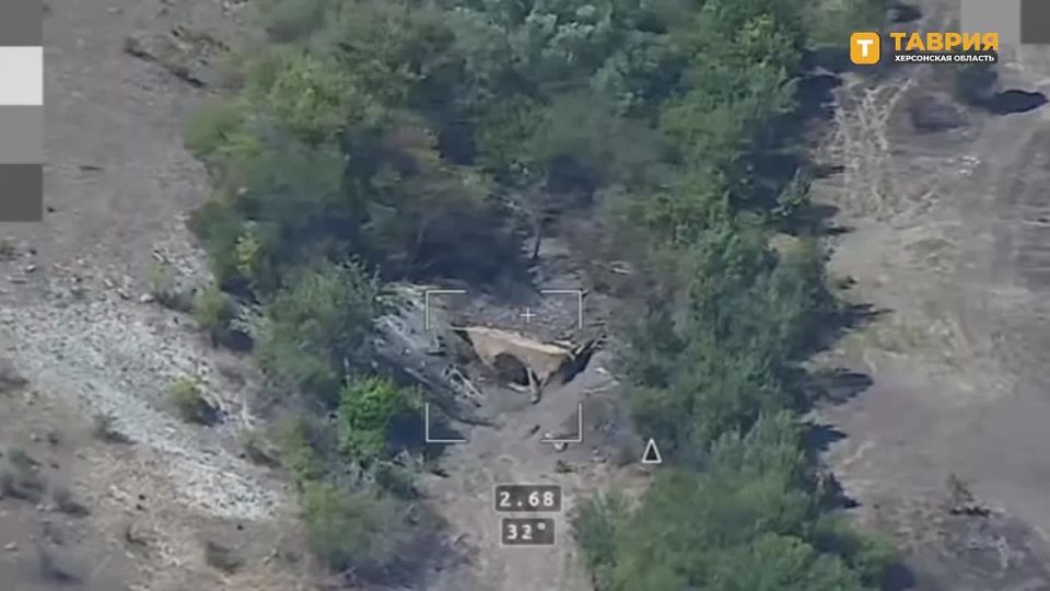 ������ ���� 49-� ����� ����������� ����� "�����" ��������� ������� �777 ��� �� ���������� �����������