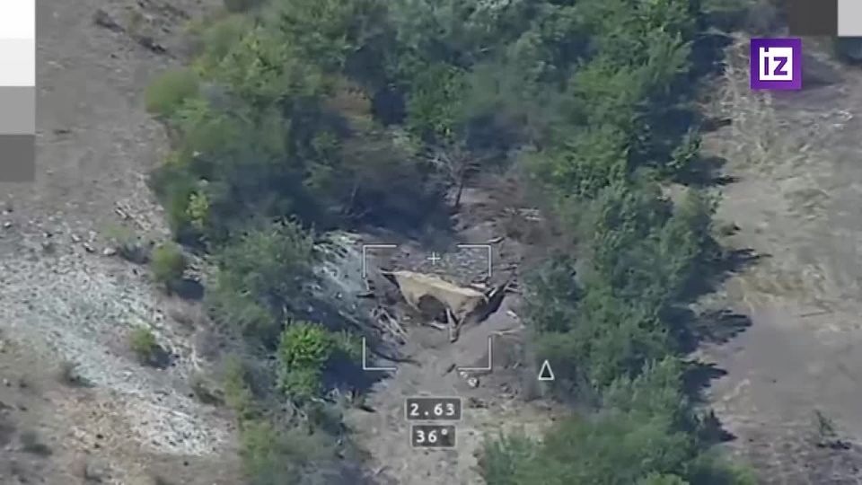 ������ ���� 49 ������������� ����� ������ � ��������� ������� �777 �� ������ ������ ������ � ���������� �������, �������� � ���������� ��