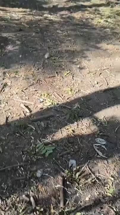 ��� ��������� �� ������ ����