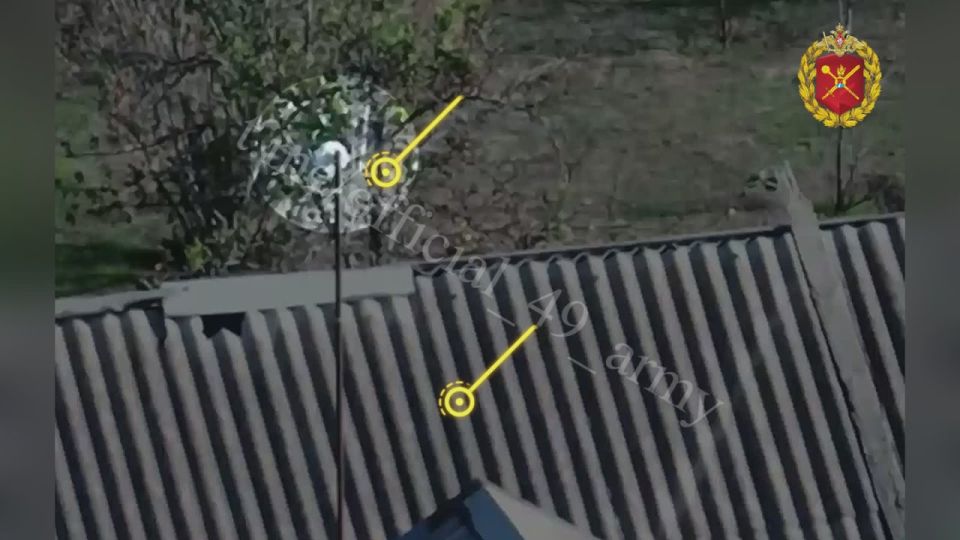 FPV-����� � ���������� ������� �������� ���������� ����� ���������� ���� ���