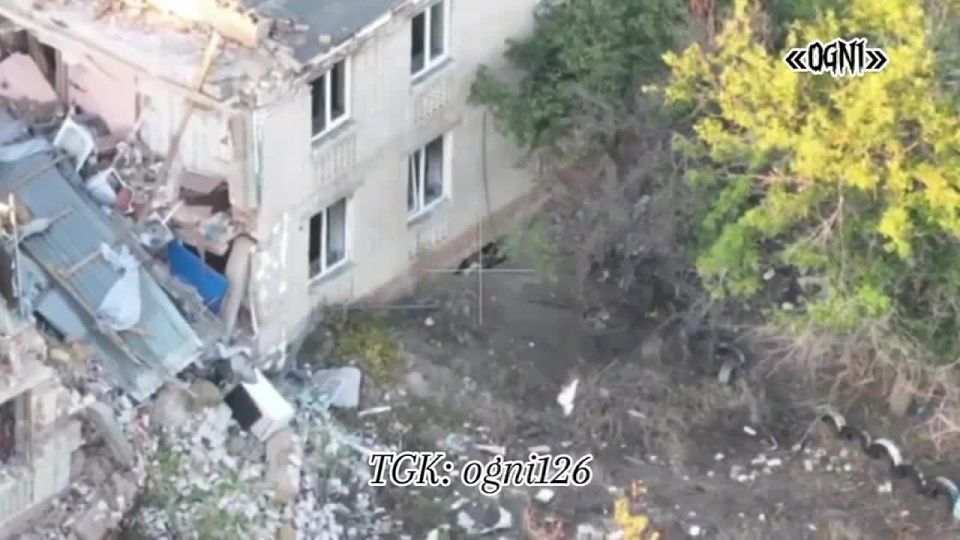 ���������� �����������. ��������