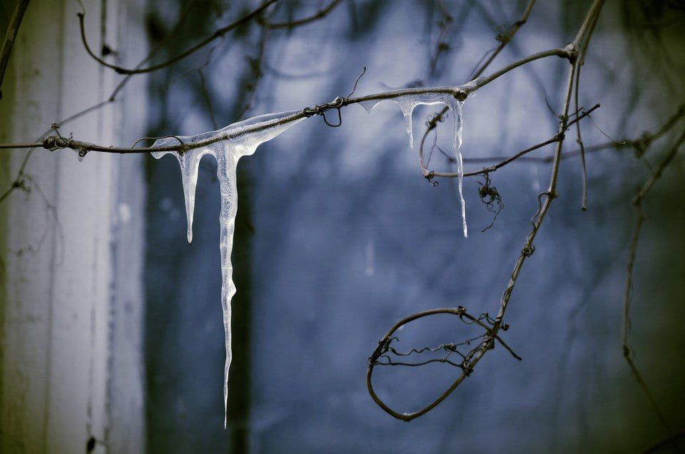 � ���������� ������� ��������� ��������� �� -2 �������� 29 ��������