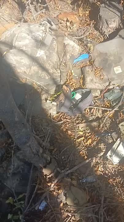 ���������� ��������� ���������� ����������� "������" �� �� �� ������� �������� ���� ������������ �������� ���������� ������������