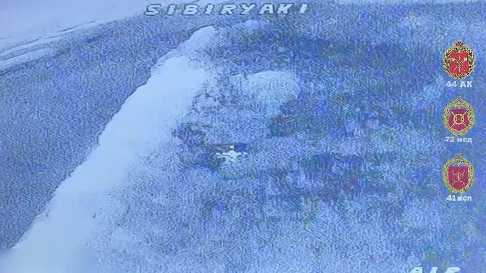 �����������? ��������.. ����������� ������� ������ ��� 41 ��� 44 ���������� ������� �������� � ������ ����� ��� ���