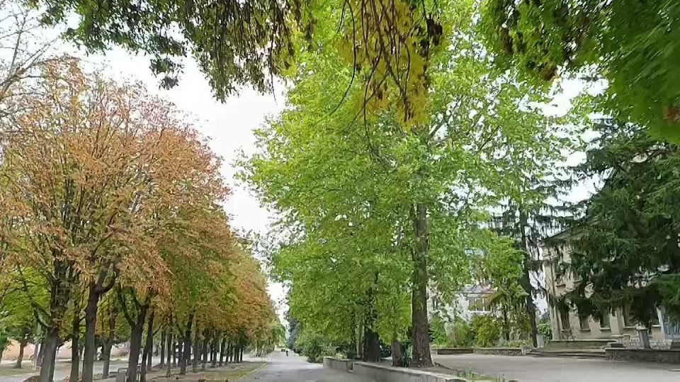 ������ ����, ������ ���������� �������������� ������!