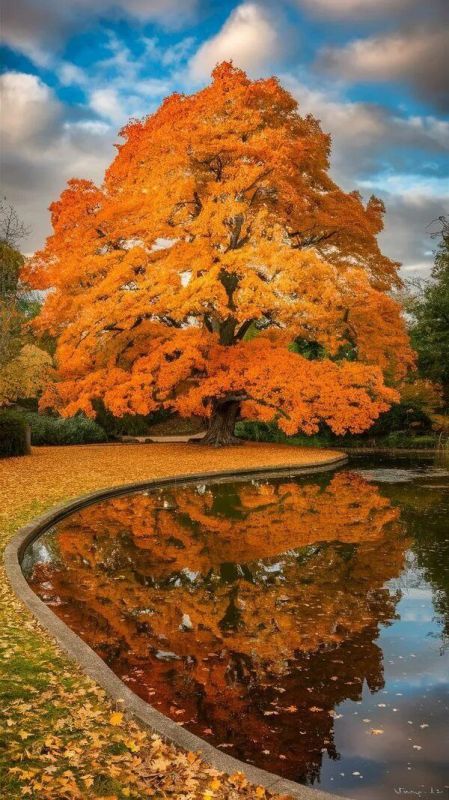 ����� � ����� �� ������� , ��� ��������� ������ � ��� . ��� ������� � ����� , � ������ ������� , �������� � ������ � ���