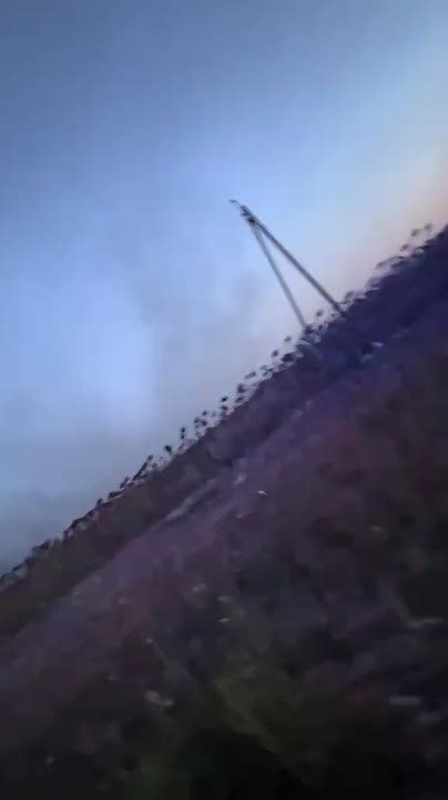 "���������" ���������� ���������� � ������� ������� ���������� ���������