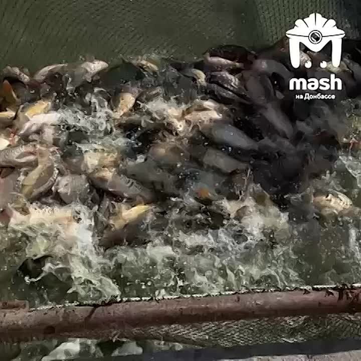 250 ����������� ����� ���� � ��������, ����� ����� ���������� ���� ��� ��������� ��������