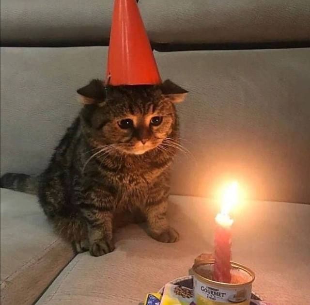 ��������� �������� � ���� ��������