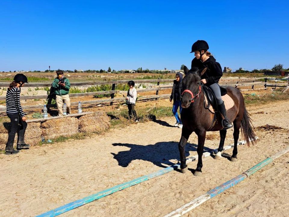 &quot;&quot;  : ,   !