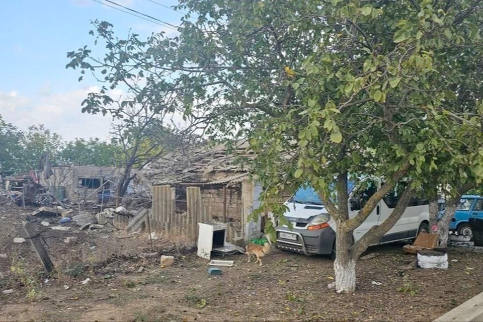 � ���������� ���� ������-�������� ��� ����� ����� ��� ����� ������ ������