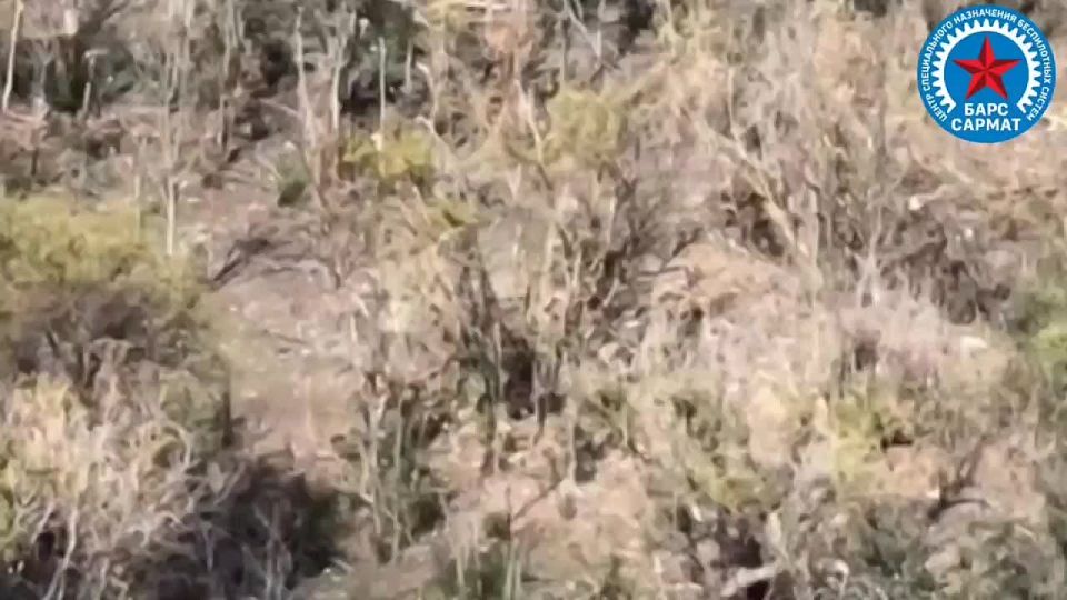 ������� �������: �������� ���������, ���������, ��������� ����� �� 4-� ������ ��������