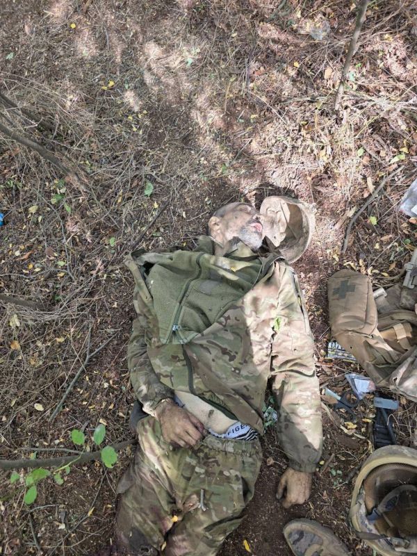 ����� �������. ������ �� ����� ����������