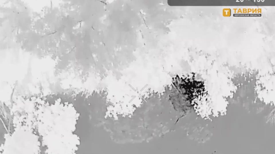 ������� ���� ����������� ����� "�����" �� ���� ���������� ������ ����� ��� �� ���������� �����������