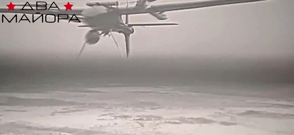 ��� ������: ���������� �����������. ���� ����� ����-������ ����������