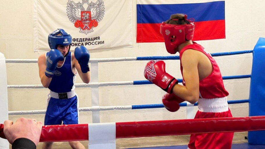В Новотроицком прошли соревнования по боксу ко Дню воссоединения регионов с Россией