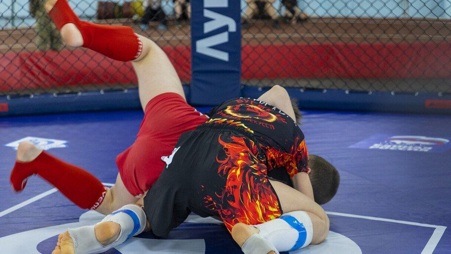 � ������������ �������� ������� 244 ���������� ���������