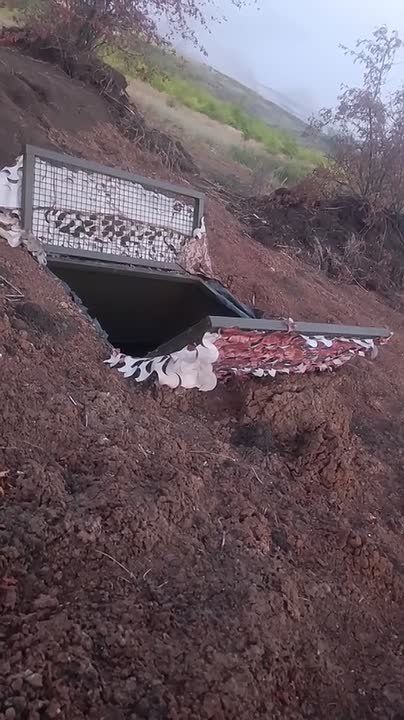 � 82 ����� ���� � �������� ������ �� ����� �������