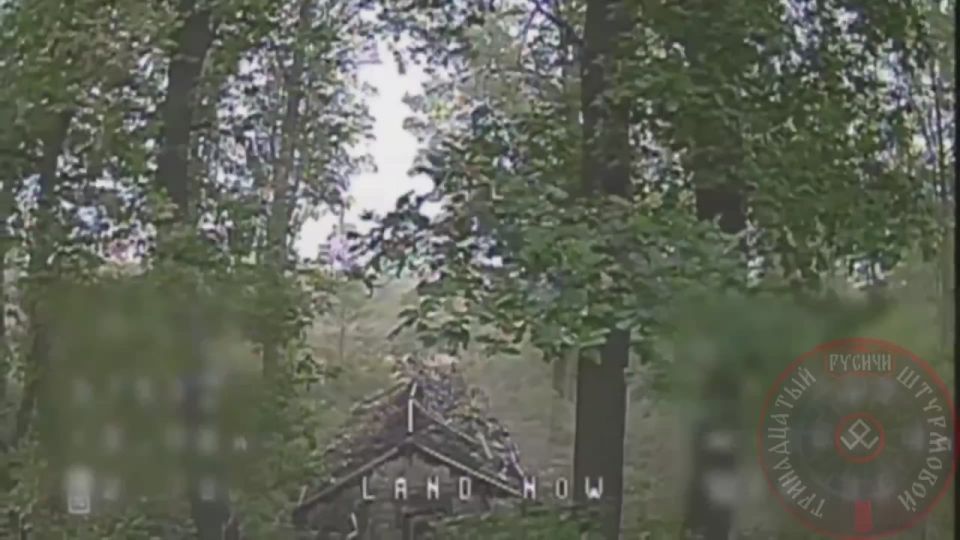 ���������� �������� ������������ ������ �����