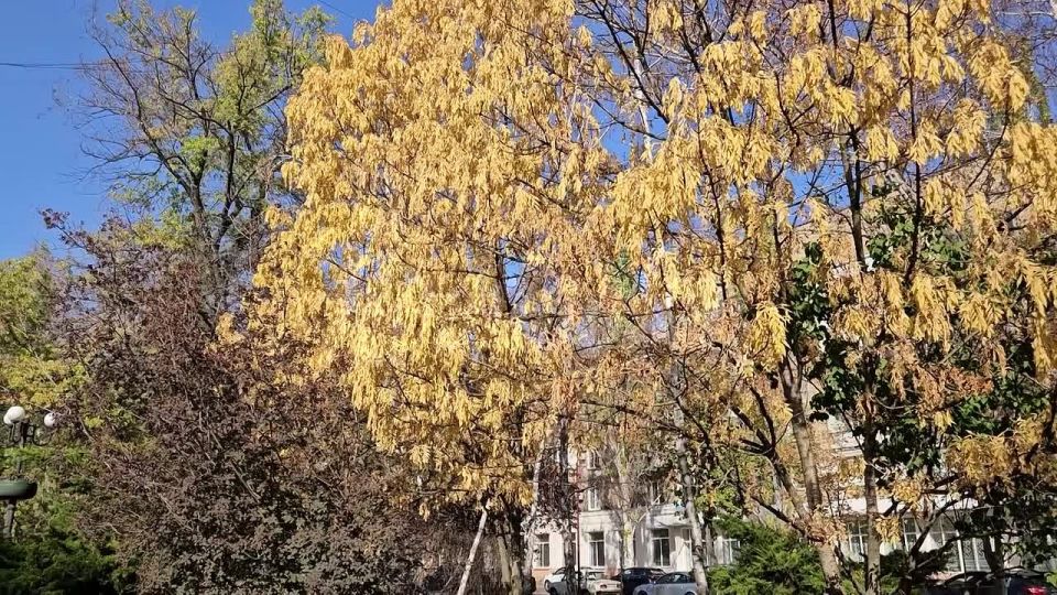 ����� ���������: �����, ������ � ���������� ������� � ��� �������� ��������� � ������ ������ 3 ���� � ������� ������