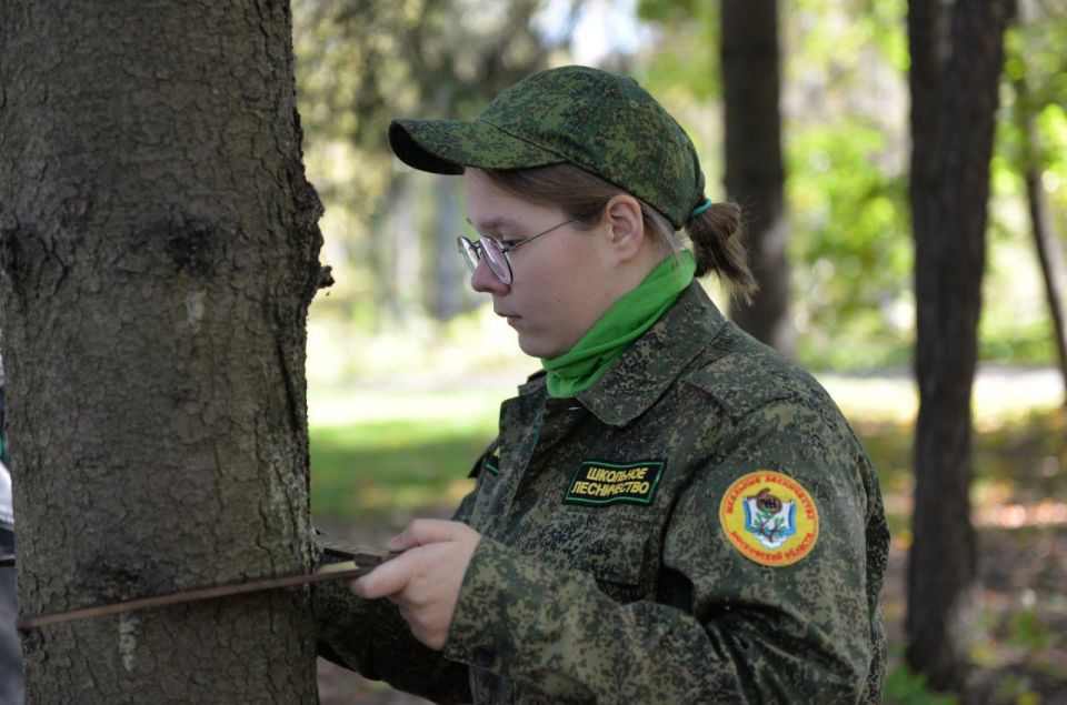 � �.�. ���������� ���������� ������� ��������� VII ������������� ����� �������� ����������