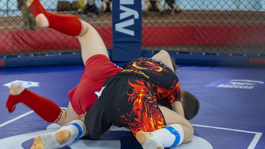 � ������������ �������� ������� 244 ���������� ���������